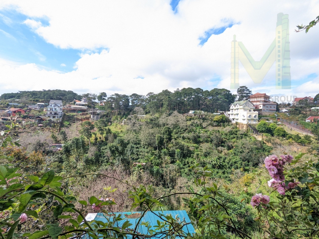 Nhà Đất Đà Lạt Văn Minh